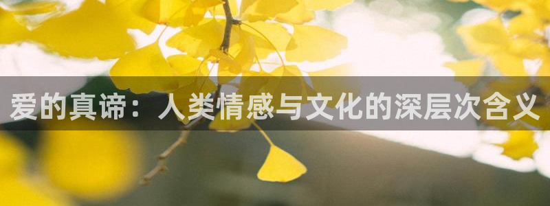 杏耀测速|杏耀代理