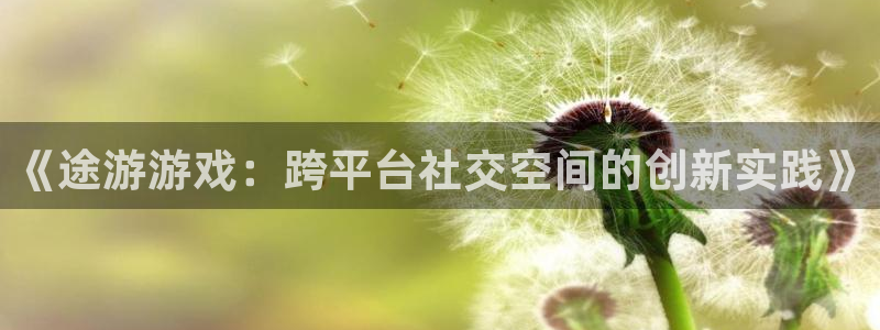 杏耀线路测试：《途游游戏：跨平台社交空间的创新实践》