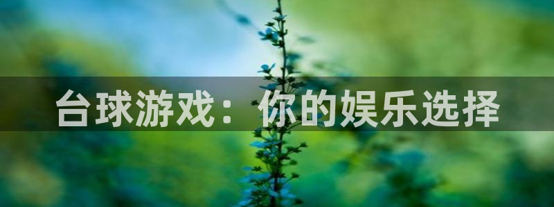 杏耀如何注册：台球游戏：你的娱乐选择