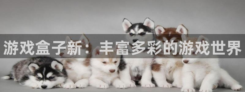 杏耀总代是正规的吗：游戏盒子新：丰富多彩的游戏世界