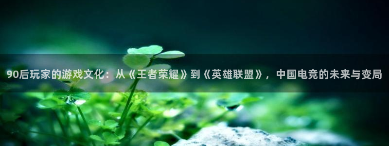 杏耀平台手机登录：90后玩家的游戏文化：从《王者荣耀》到《英