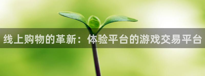 杏耀主管：线上购物的革新：体验平台的游戏交易平台
