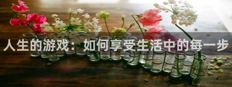 杏耀怎么注册：人生的游戏：如何享受生活中的每一步
