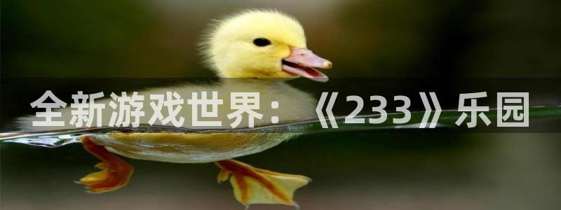 杏耀平台正规么：全新游戏世界：《233》乐园