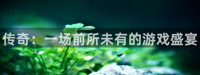 杏耀登入官网的登录方式与步骤