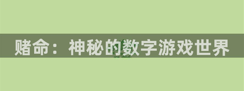 杏耀官网：赌命：神秘的数字游戏世界