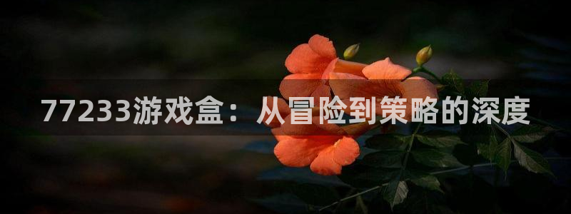 杏耀怎么注册：77233游戏盒：从冒险到策略的深度