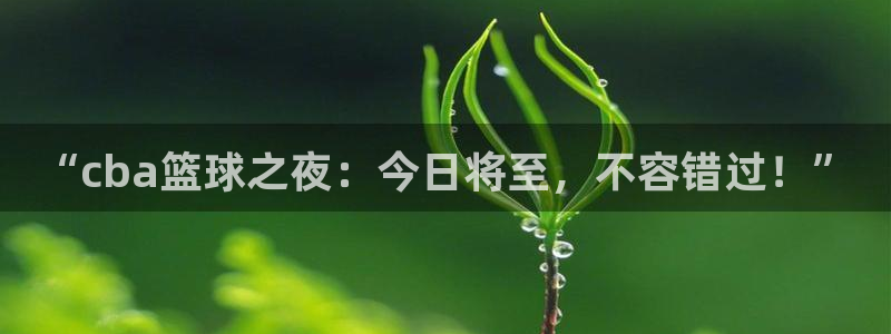 nba飞速直播在线观看