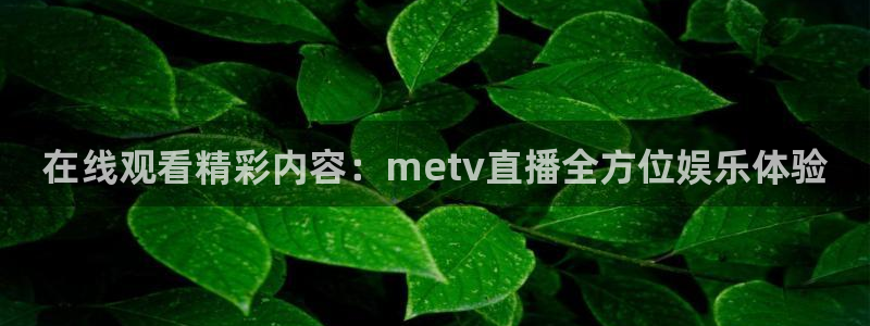 飞速 直播：在线观看精彩内容：metv直播全方位娱乐体验