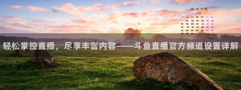 飞速直播nba直播吧：轻松掌控直播，尽享丰富内容——斗鱼直播官方频道设置详解