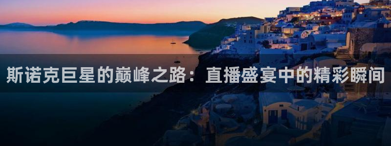 飞速体育高速直播