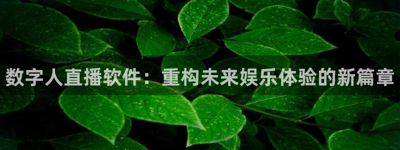 飞速直播直播：数字人直播软件：重构未来娱乐体验的新篇章