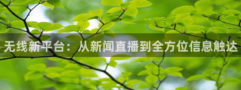 nba飞速在线直播：无线新平台：从新闻直播到全方位信息触达