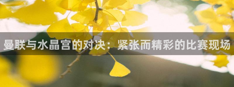 飞速直播体育：曼联与水晶宫的对决：紧张而精彩的比赛现场