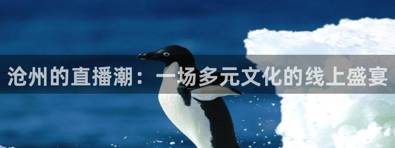 飞速体育在线直播观看：沧州的直播潮：一场多元文化的线上盛宴