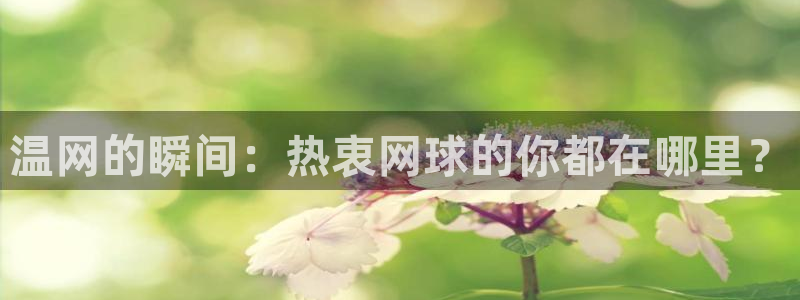 飞速体育nba直播