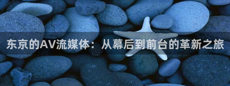 飞速体育直播nba