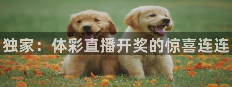 飞速体育直播安卓最新厅.发布新版.org：独家：体彩直播开奖的惊喜连连