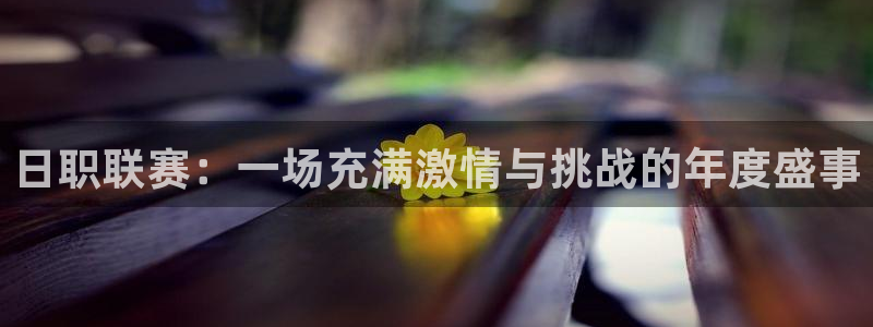飞速直播体育无插件：日职联赛：一场充满激情与挑战的年度盛事