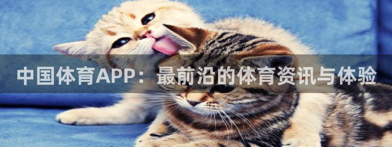 飞速直播足球直播nba直播吧：中国体育APP：最前沿的体育资讯与体验