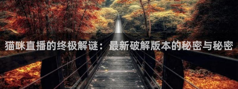 飞速直播体育在线：猫咪直播的终极解谜：最新破解版本的秘密与秘密