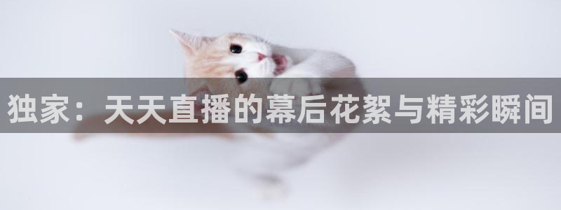 飞速体育在线直播观看：独家：天天直播的幕后花絮与精彩瞬间