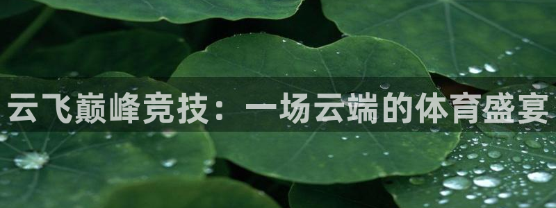 飞速体育直播在线观看cba：云飞巅峰竞技：一场云端的体育盛宴