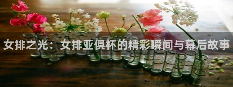 飞速体育直播nba：女排之光：女排亚俱杯的精彩瞬间与幕后故事