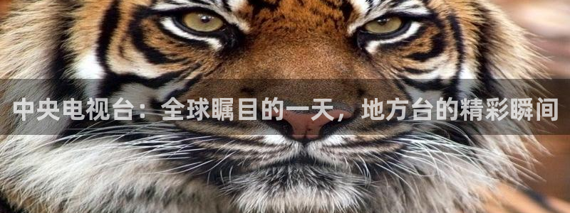 飞速直播体育nba无插件：中央电视台：全球瞩目的一天，地方台的精彩瞬间